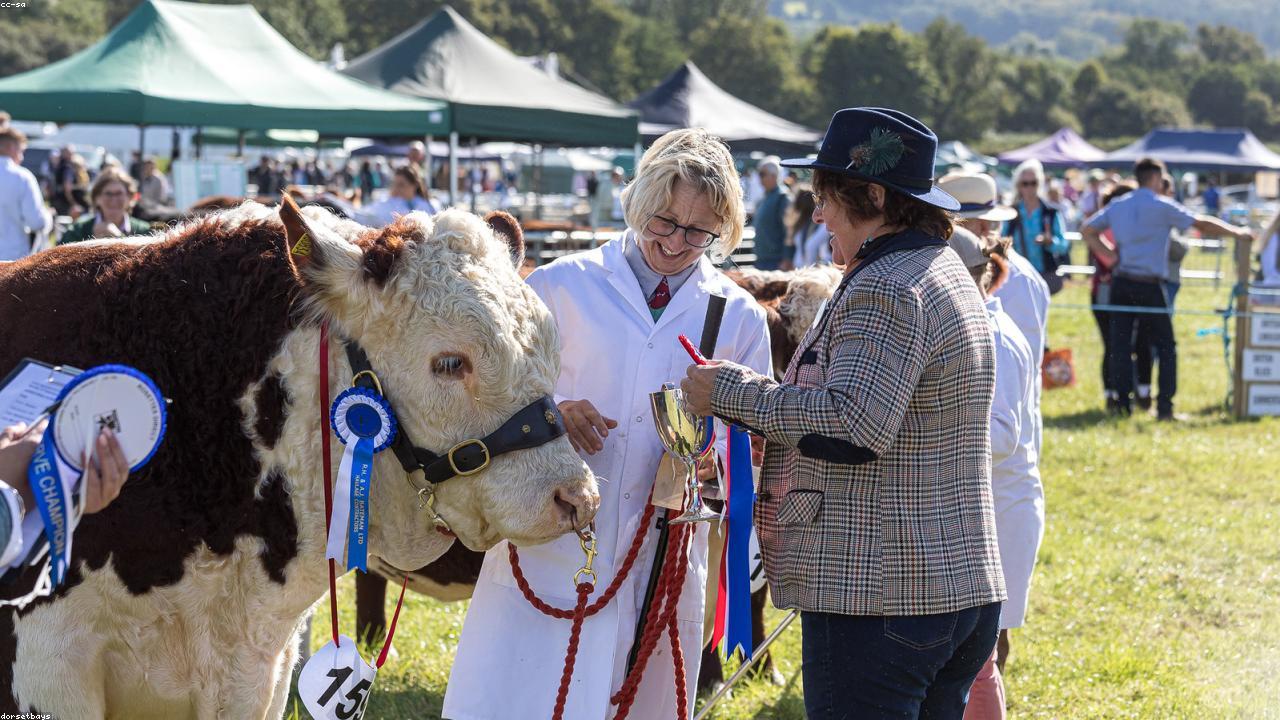 Farm sourcing and livestock scene supporting meat traceability and supply standards